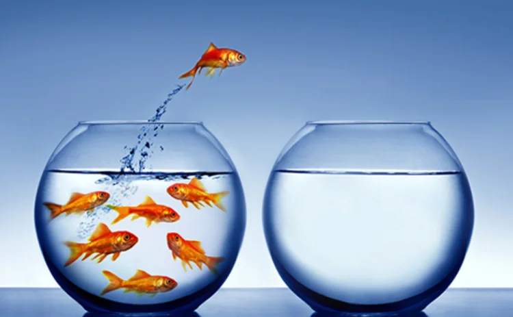 Photo showing a goldfish jumping from a crowded bowl to an empty one