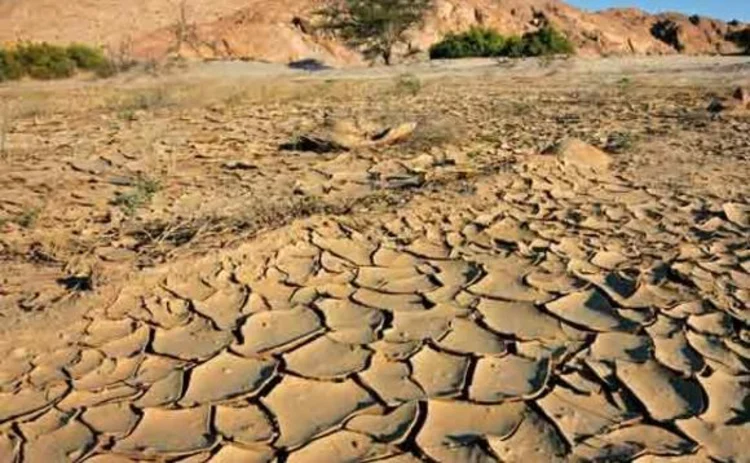 Parched earth in a dry riverbed